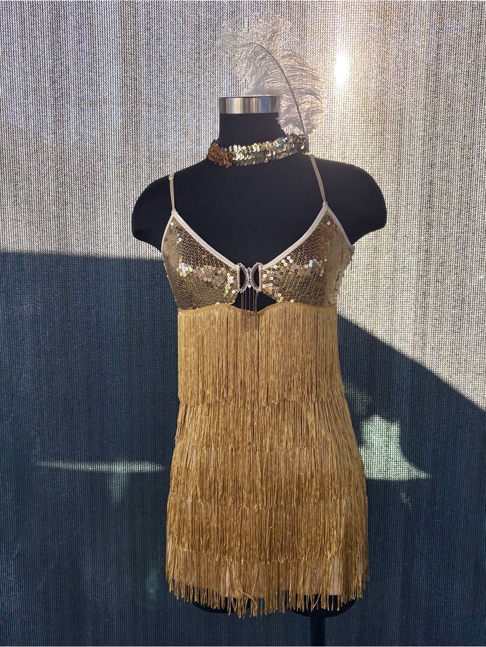 Dreamgirl “Vaudeville Vixen” 1920 Flapper Costume Size XS